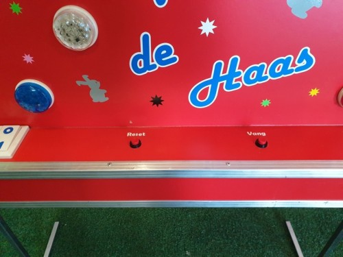 Reactiespel - Vang de haas 